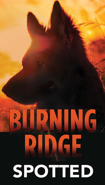 Burning Ridge Book Spotted in the News
