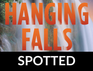Hanging Falls by Margaret Mizushima SPOTTED FALLS
